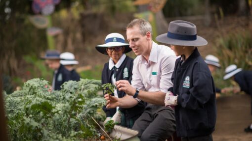 Primary-teacher-edible-garden