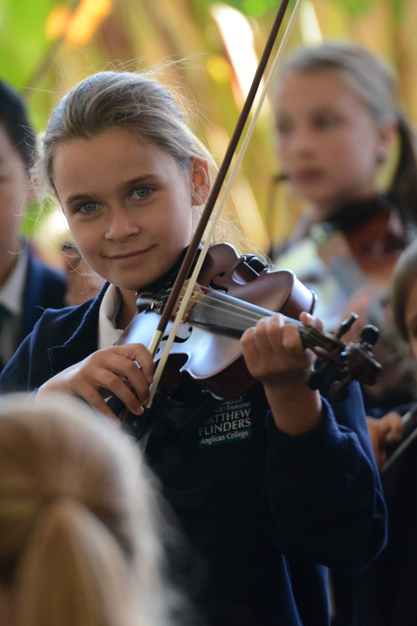 MFAC Strings on Stringybark